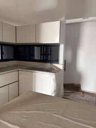 The Trizon (D10), Condominium #473139631